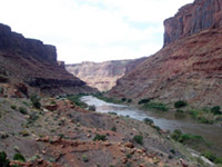 Colorado River in Westwater Canyon near Moab, Utah