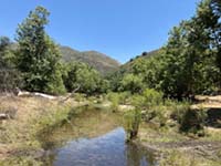 San Ysabel Creek in Pamo Valley near Ramona, low flow in summer.