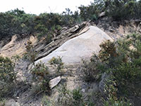 A smooth, rounded granite boulder weathering out of a hillside along a cut for the Del Dios Trail.