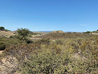 Nearly evel surface of the top of the Santa Rosa Plateau as visible near Rancho California Road.