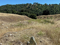 VView of vegetation contract across the Elsinore Fault Zone in Santa Ysabel East Open Space. The stream drainage shown here is deflected along the fault zone.
