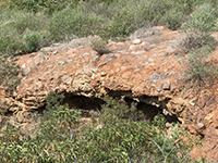 Old colluvium cemented by caliche along the upper Shore Path near the GAP