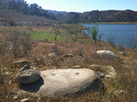 Indian mortar holes on a flat topped boulder along the shore of Lake Hodges.