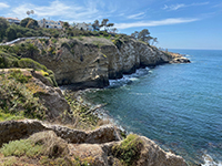 View of the bend in the sea cliff along La Jolla Bay where the Mount Soledad Fault strand goes offshore.