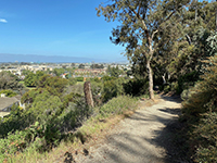 View looking north from the Historic Old Presidio Trail.
