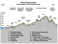 Landscape profile of northern San Diego County showing different plant coummunities in different regions and elevations.