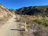 Dirt trail along the Del Dios Gorge with dark mountain slopes and riparian forest along the stream.