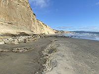 Layers of the Delmar Formation gradually dip and disappear below the surface of Blacks Beach south of Flat Rock.