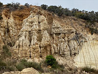 Close-up view of fractures and offset in the Carmel Fault Zone along the Torrey Pines Grade.