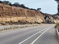 View north along Torrey Pines Grade showing truncated beds along unconfirmities adjacent to the Carmel Fault Zone.