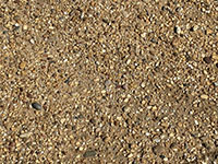 Well sorted fine gravel of the Bay Point Formation dominanted by white quartz pebbles.