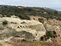 Massive outcrops of Torrey Sandstone in the canyon on the north side of the Perry Grove Trail