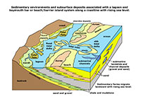 Sedimentary environmenst associated wht beach, barrier, bay mouth bars, and lagoons.