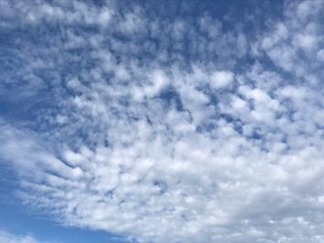 Cirrocumulus above some altocumulus clouds