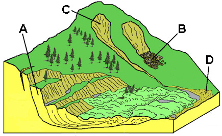 landslide quiz image