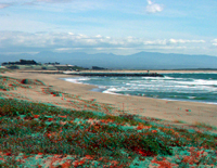 Moss Landing beach