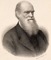 Portait of Charles Darwin
