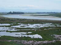 Elkhorn Slough