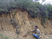 Turbidites exposed on Loma Prieta