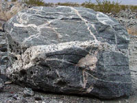 Pegmatite vein exposede in a boulder in Death Valley, California
