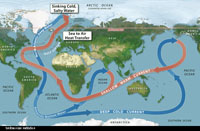 Ocean Circulation System