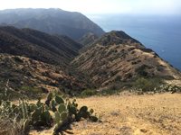 2000 foot sea cliffs on Catalina Island, one of the Channel Islands off the coast of southern California. 