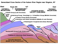 Generalized cross section of the Hudson River Valley region with fold-thrust belt of the Taconic Mountains east of the Catskills, NY. . 