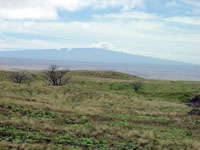 Mauna Loa is a massive shield volcano on Hawaii and from ocean depthts to its peak of 
