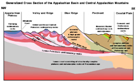 Generalized cross section of the Appalachain Mountains and Appalachian Basin. 