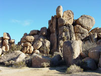 Piles of large granite boulders are a common sight throughout Joshua Tree National Park. 
