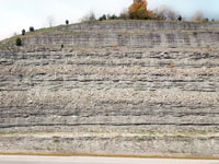 Flat-lying layers of Late Ordovician limestone and Shale crop out throughout the Cincinnati region, Ohio, Kentucky, and Indiana. 