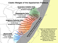Clastic wedges (ancient delta systems) associated with orogenies that provided sediments to  the Appalachian Plateaus Province. 