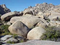 Spheroidally-weathering boulders in the Granite Mountains within the Mojave National Preserve. 