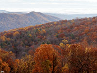 Fall colors along the Blue Ridge in Shenandoah National Park, Virginia. 