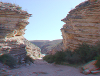 Ernst Arroyo Canyon 