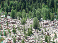 Gros Ventre Landslide deposits