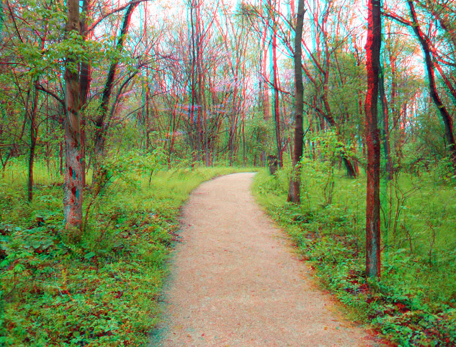 Trail through a forest in early spring at Mound City Group