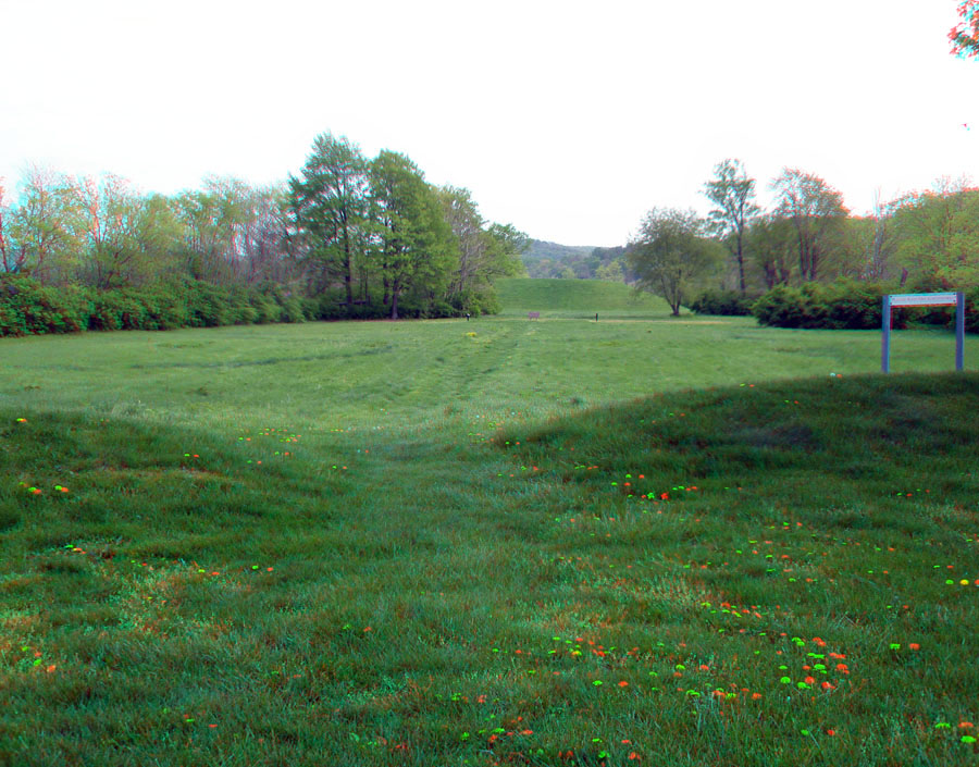 Seip Mound, field with a gap in the low border earthworks around the ceremonial field site.