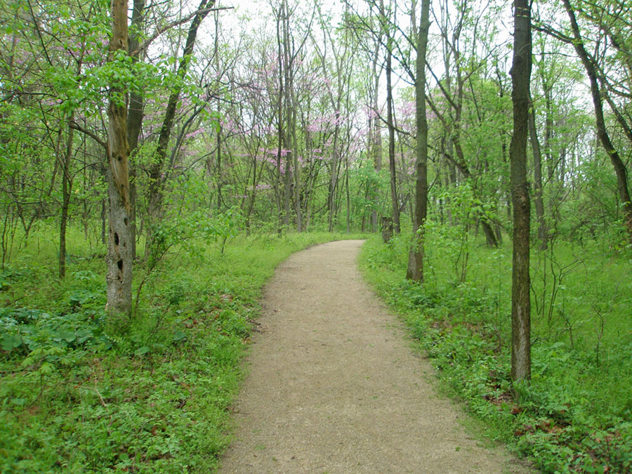 Trail through a forest in early spring at Mound City Group
