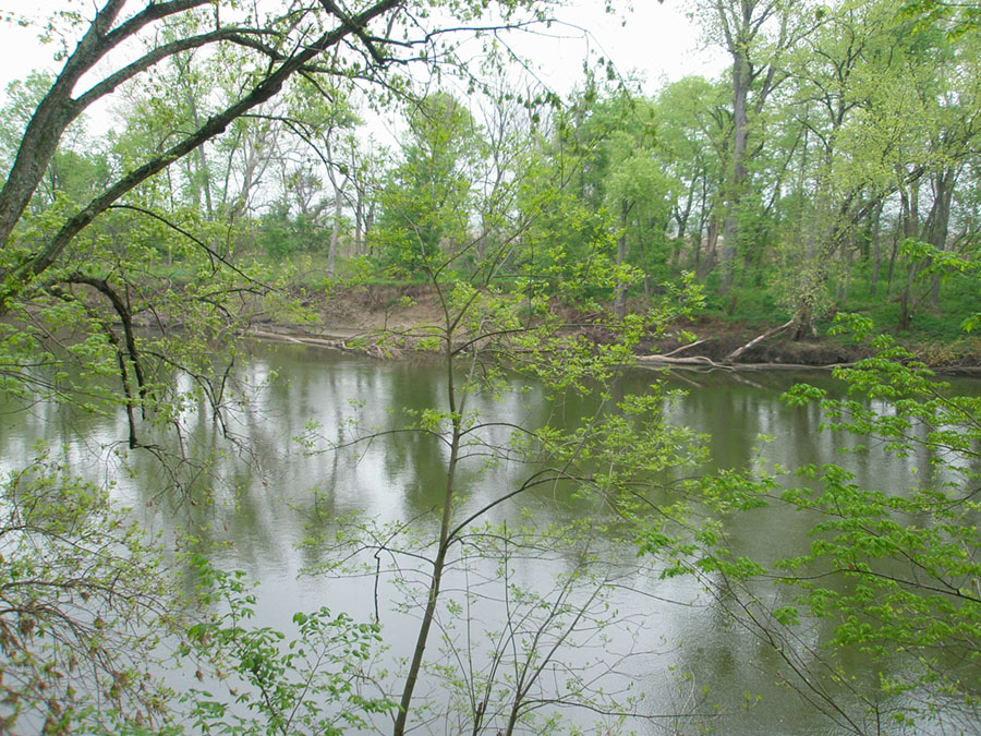 View of the Scioto River with muddy cutbank and forest on the opposite side of the river.