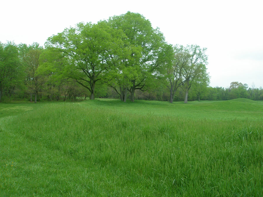 View of several large trees with spring leaves growning on the earthen border wall along the park trail at Mound City Group.