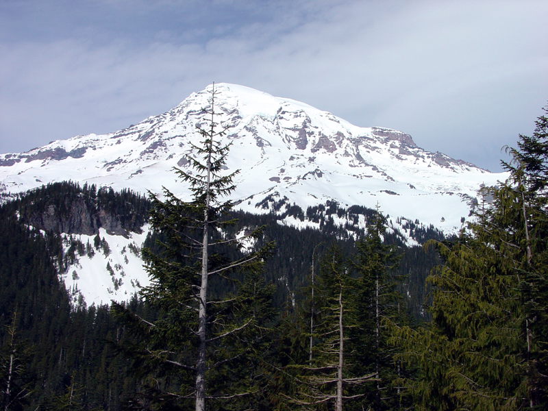 Mt. Rainier 
