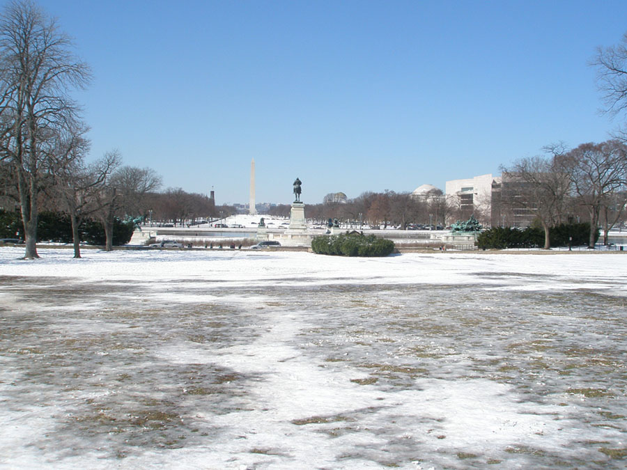 View of the Mall in front of the U.S. Capitol Building.