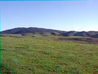Pasture on historic ranch