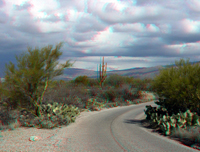 Saguaro NM East park road