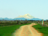 Mount Shasta from south