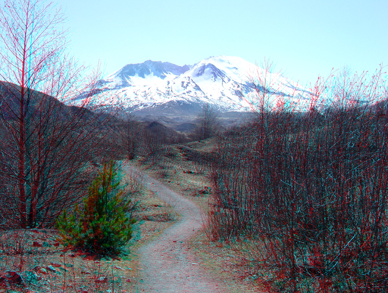 Trail with Mount St. Helens