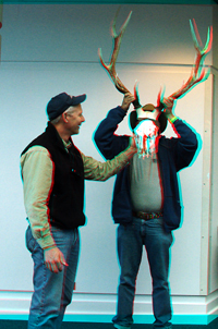 Elk skull and horns