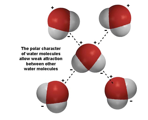 What Causes Attractions Between Polar Molecules