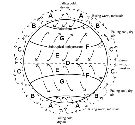 Atmospheric circulation diagram